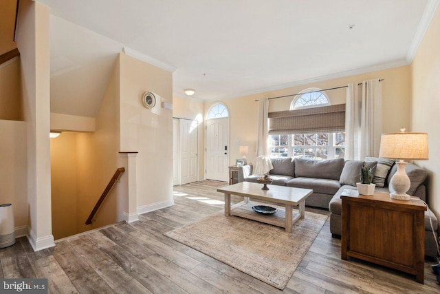 living room with crown molding and wood-type flooring