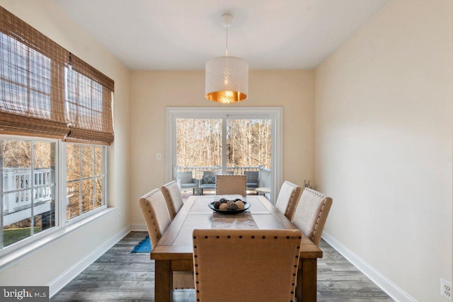 dining room with dark hardwood / wood-style flooring