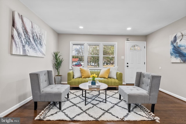 living area with dark hardwood / wood-style floors