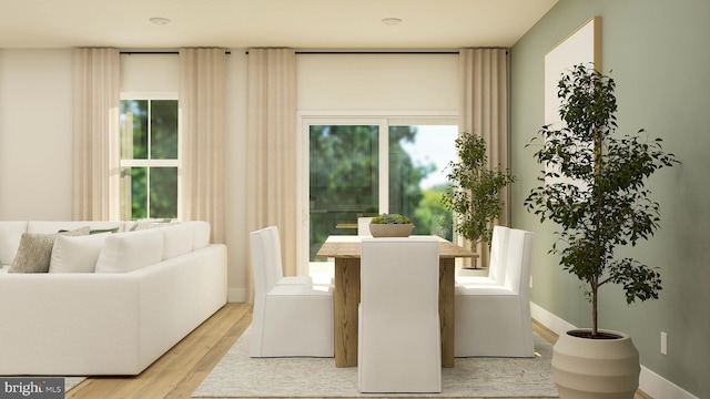 dining area with light hardwood / wood-style flooring