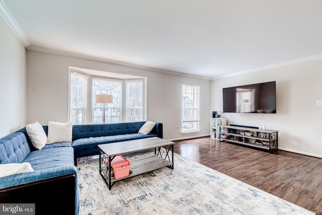 living room featuring wood-type flooring and ornamental molding