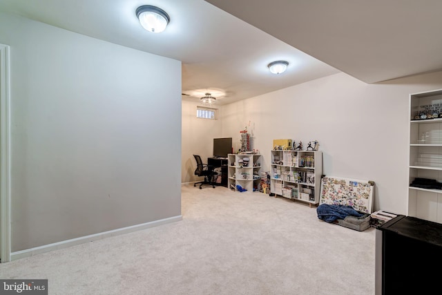 interior space featuring carpet floors