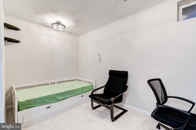 bedroom with light colored carpet