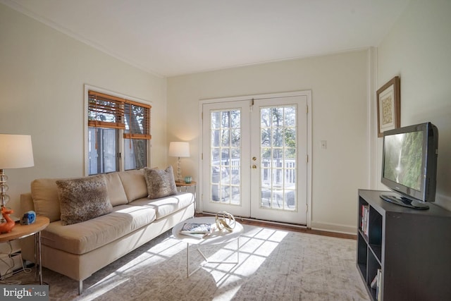 living room with wood-type flooring and french doors