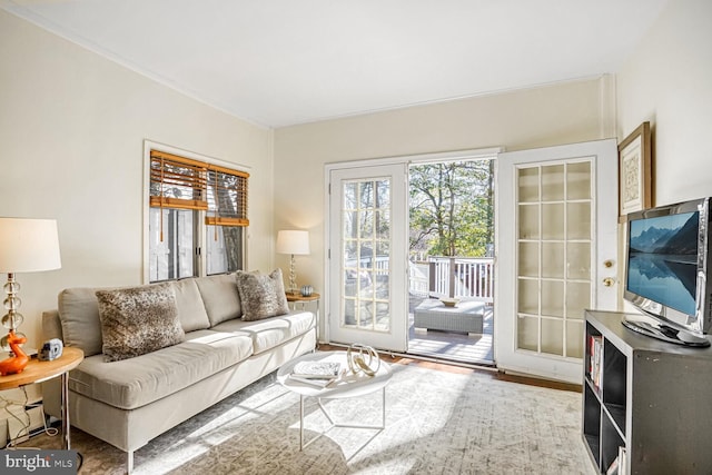 living room featuring hardwood / wood-style flooring