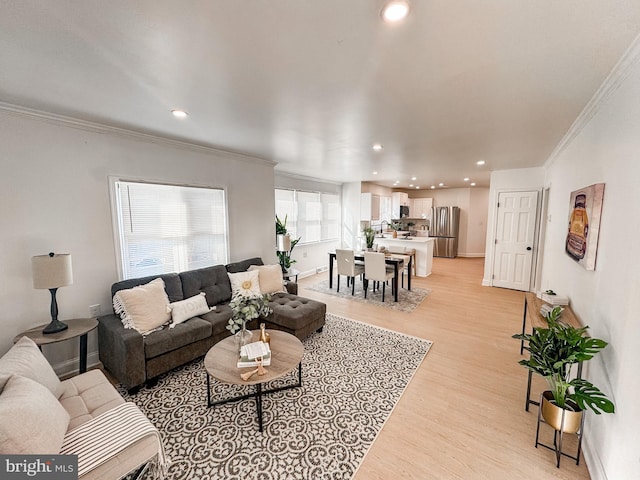 living room featuring crown molding and light wood-type flooring