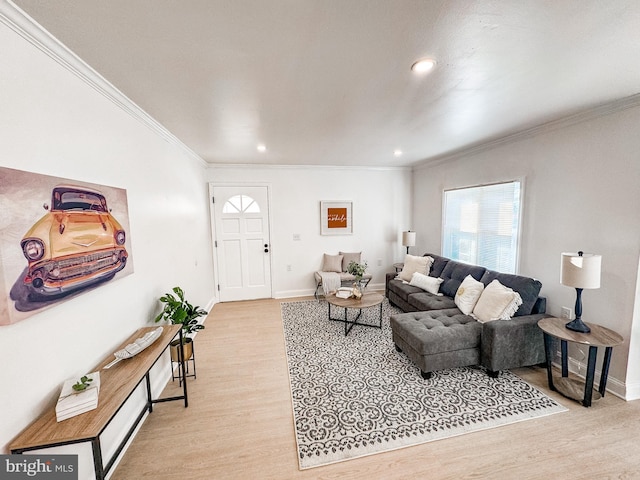 living room with ornamental molding and light wood-type flooring