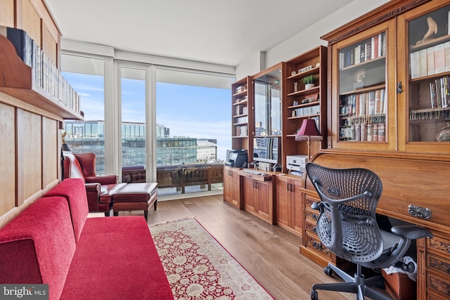 office with expansive windows and light hardwood / wood-style flooring