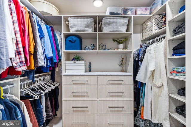 view of walk in closet