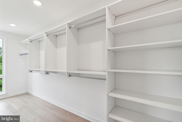 walk in closet with hardwood / wood-style flooring