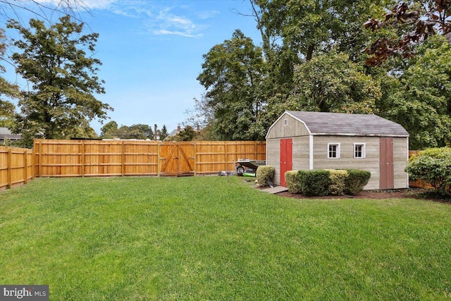 view of yard with a storage shed