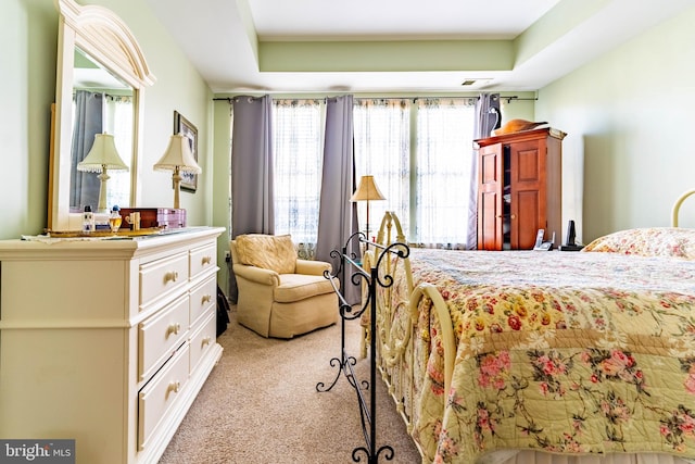 carpeted bedroom featuring a raised ceiling