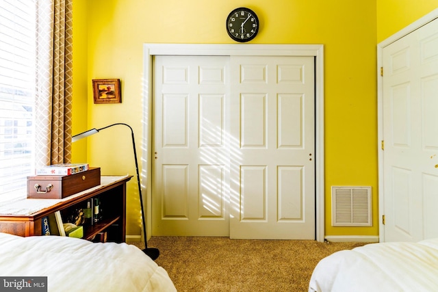 bedroom featuring multiple windows, carpet floors, and a closet