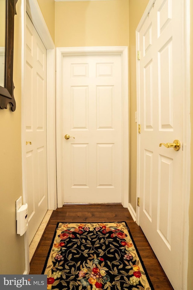 doorway to outside with dark wood-type flooring