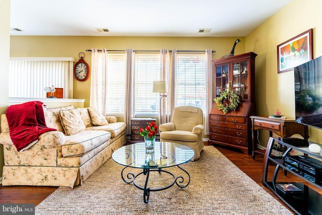 living room featuring dark wood-type flooring