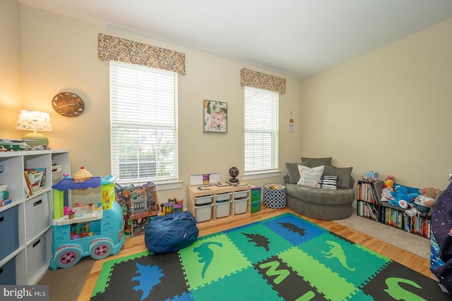 recreation room featuring wood finished floors