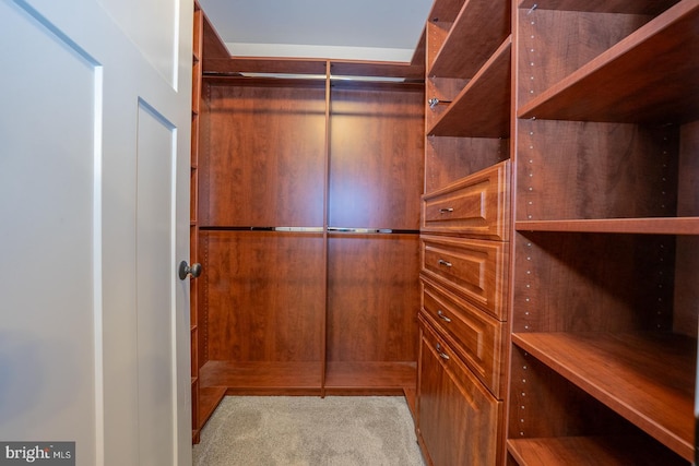 walk in closet featuring carpet flooring