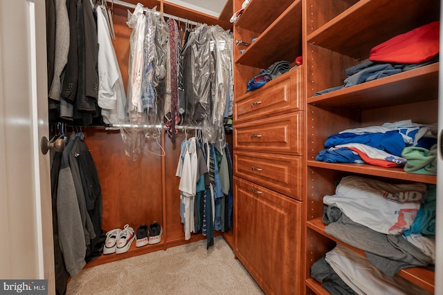 spacious closet with light carpet