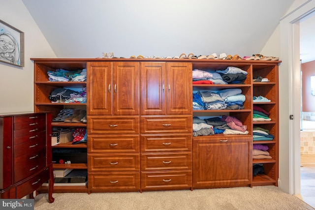 walk in closet with light colored carpet