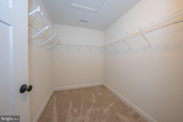 walk in closet with carpet floors, attic access, and visible vents