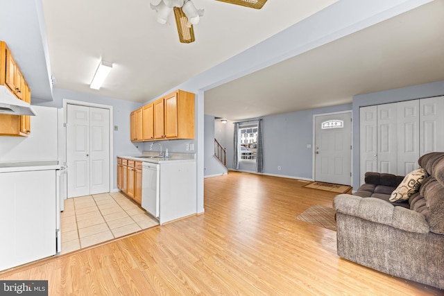 kitchen featuring white dishwasher, sink, and light wood-type flooring