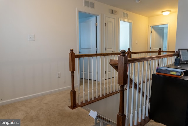 staircase with carpet flooring