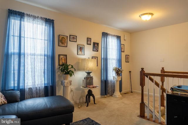 sitting room featuring carpet floors