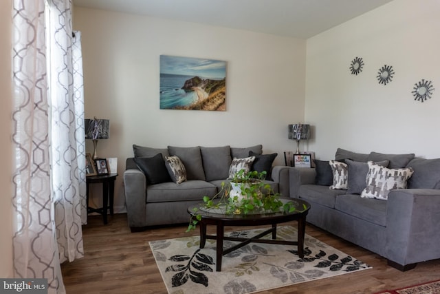 living room with dark hardwood / wood-style floors