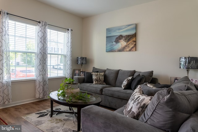 living room featuring a wealth of natural light and hardwood / wood-style floors