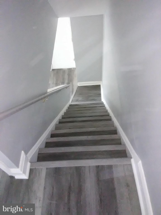 staircase featuring hardwood / wood-style floors