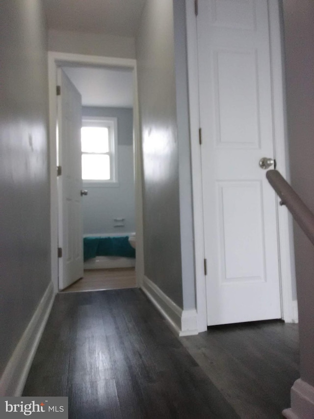 corridor featuring dark wood-type flooring