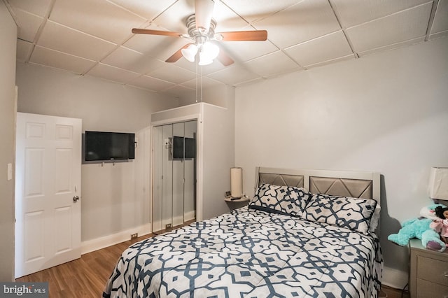 bedroom featuring a drop ceiling, hardwood / wood-style flooring, a closet, and ceiling fan