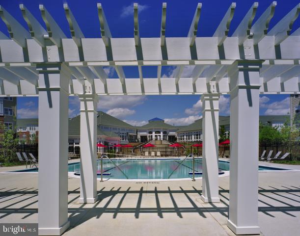 view of swimming pool with a pergola and a patio