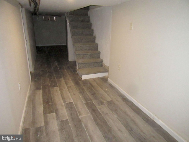 basement featuring dark hardwood / wood-style flooring