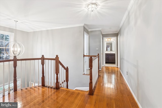 corridor with crown molding, a chandelier, and hardwood / wood-style floors