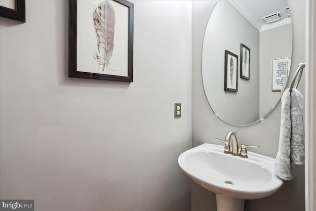 bathroom with ornamental molding and sink