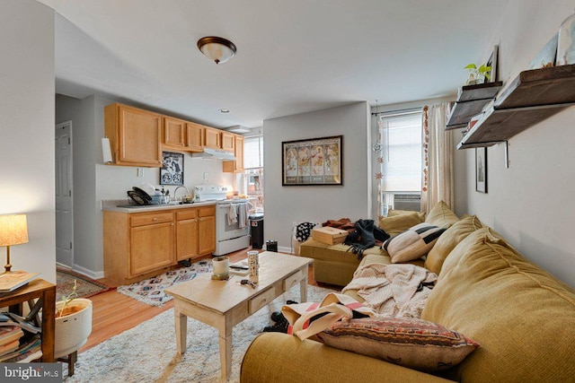 living room featuring sink and light wood-type flooring