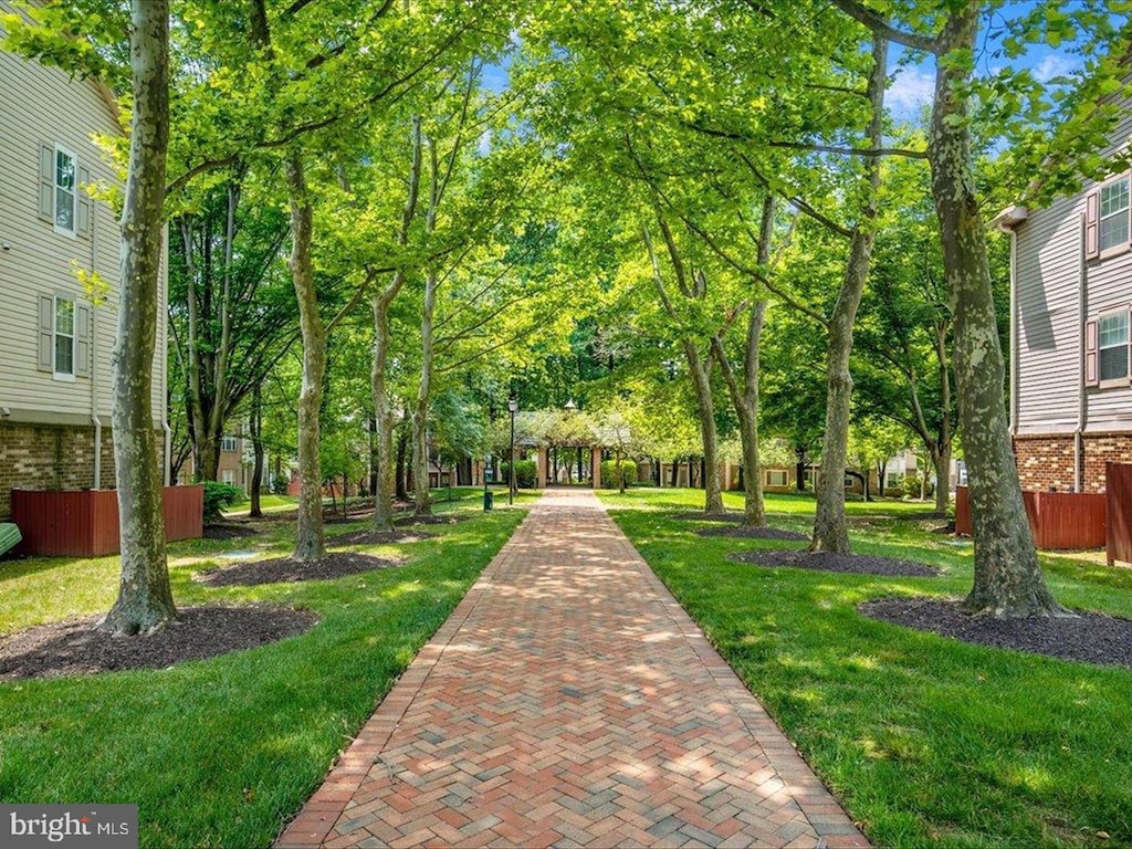 view of community with a lawn