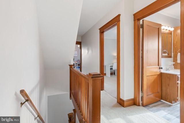 hall featuring sink and light colored carpet