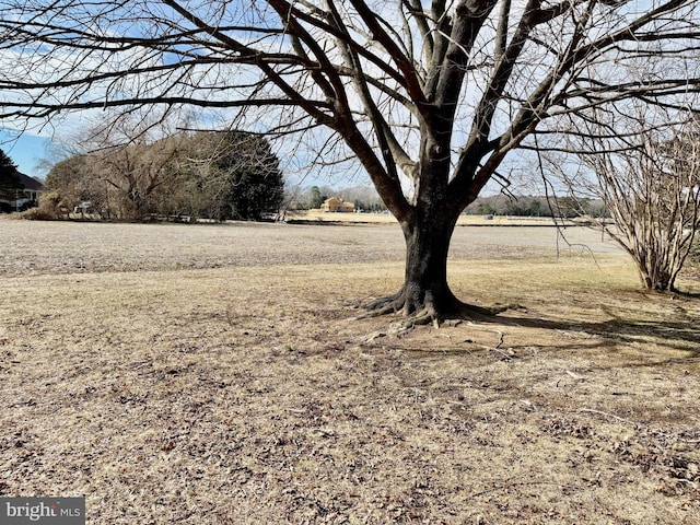 view of yard featuring a rural view