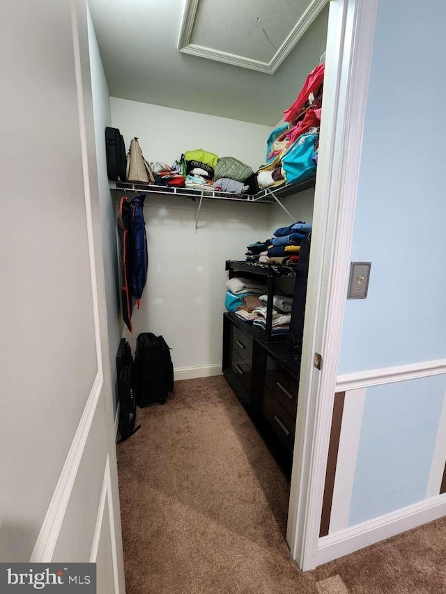 walk in closet featuring carpet