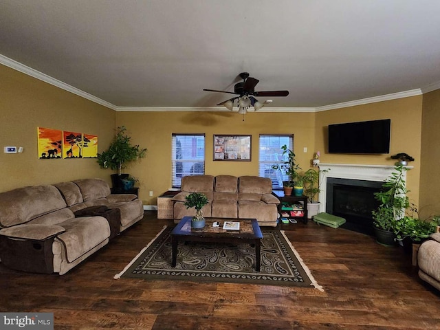 living room featuring dark wood-type flooring, ornamental molding, and ceiling fan