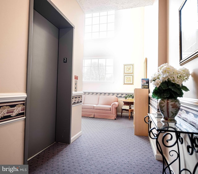 105 Sunshine Ct Unit F, Forest Hill, MD 21050 - corridor with carpet and elevator