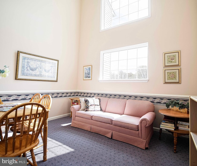 105 Sunshine Ct Unit F, Forest Hill, MD 21050 - living room with carpet, a towering ceiling, baseboards, and a healthy amount of sunlight