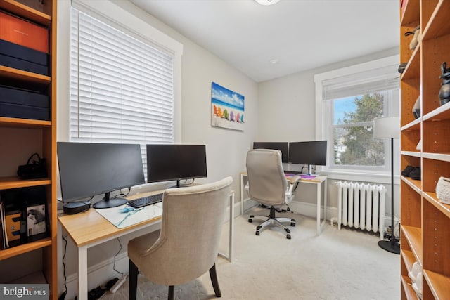 office featuring radiator heating unit and carpet