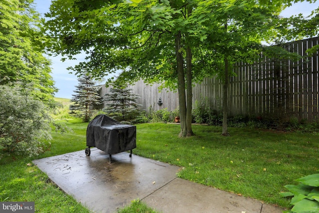 view of yard featuring a patio