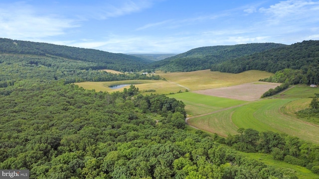 view of property's community featuring a mountain view