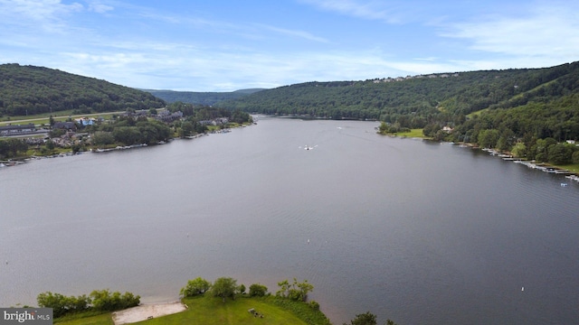 property view of water featuring a mountain view