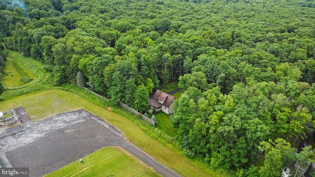 bird's eye view