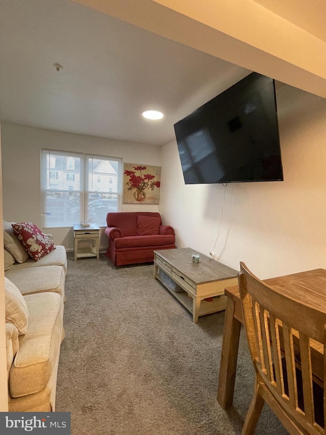 view of carpeted living area